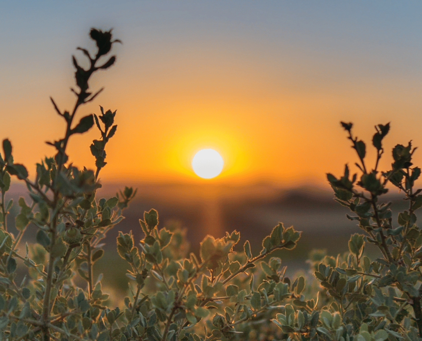 A place shaped by its surroundings