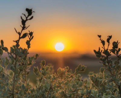Duurzaam wonen in de praktijk