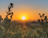 Park homes primary icon